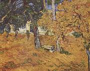 Park des Spitals Vincent Van Gogh